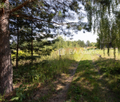 земля 10 сот Октябрьский район