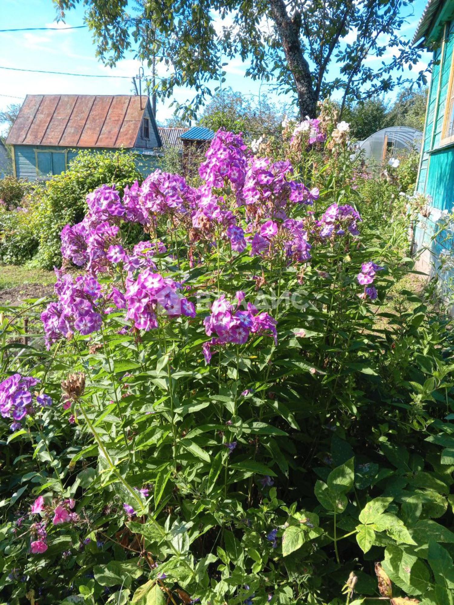 Купить дачу, дом, коттедж за 400 000 рублей на Добросельская улица