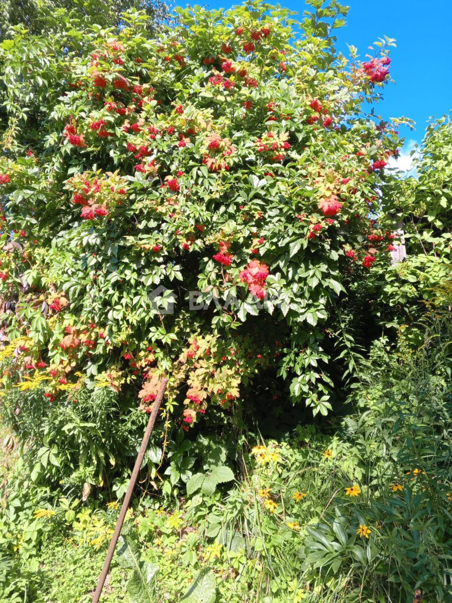 Купить дачу, дом, коттедж за 400 000 рублей на Добросельская улица