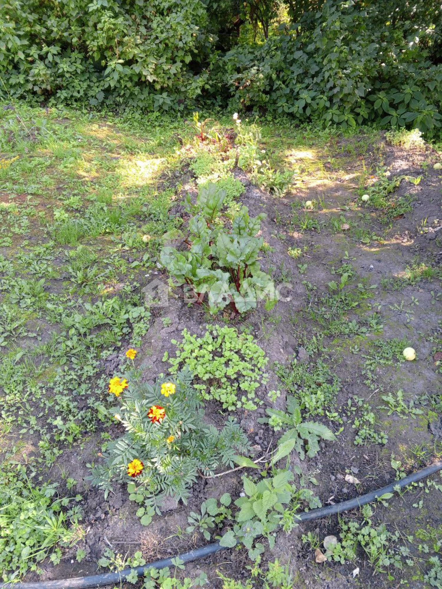 Купить дачу, дом, коттедж за 400 000 рублей на Добросельская улица