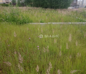 земля 10 сот Преображенская улица