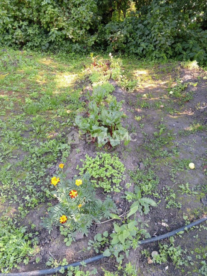 Коттедж/дом Добросельская улица