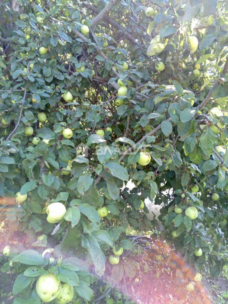 Коттедж/дом Добросельская улица