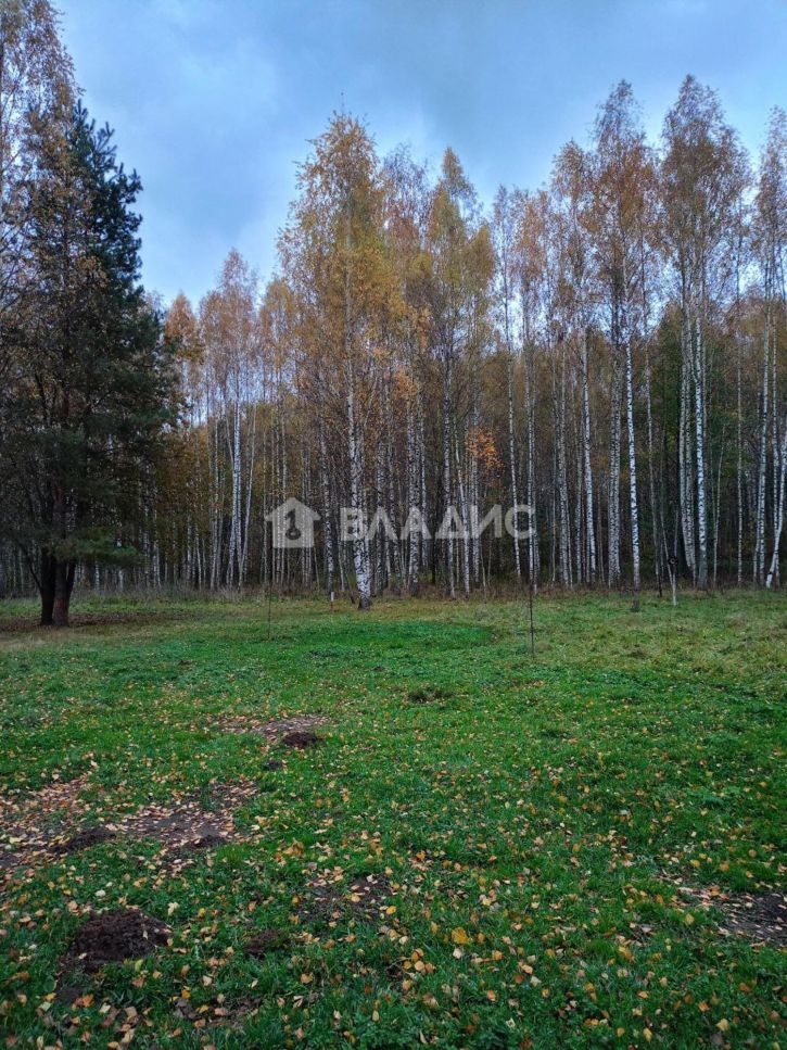 Земельный участок Луневская улица