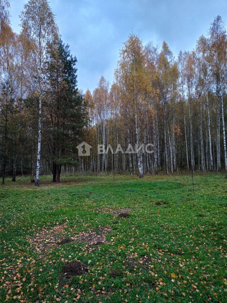 Земельный участок Луневская улица