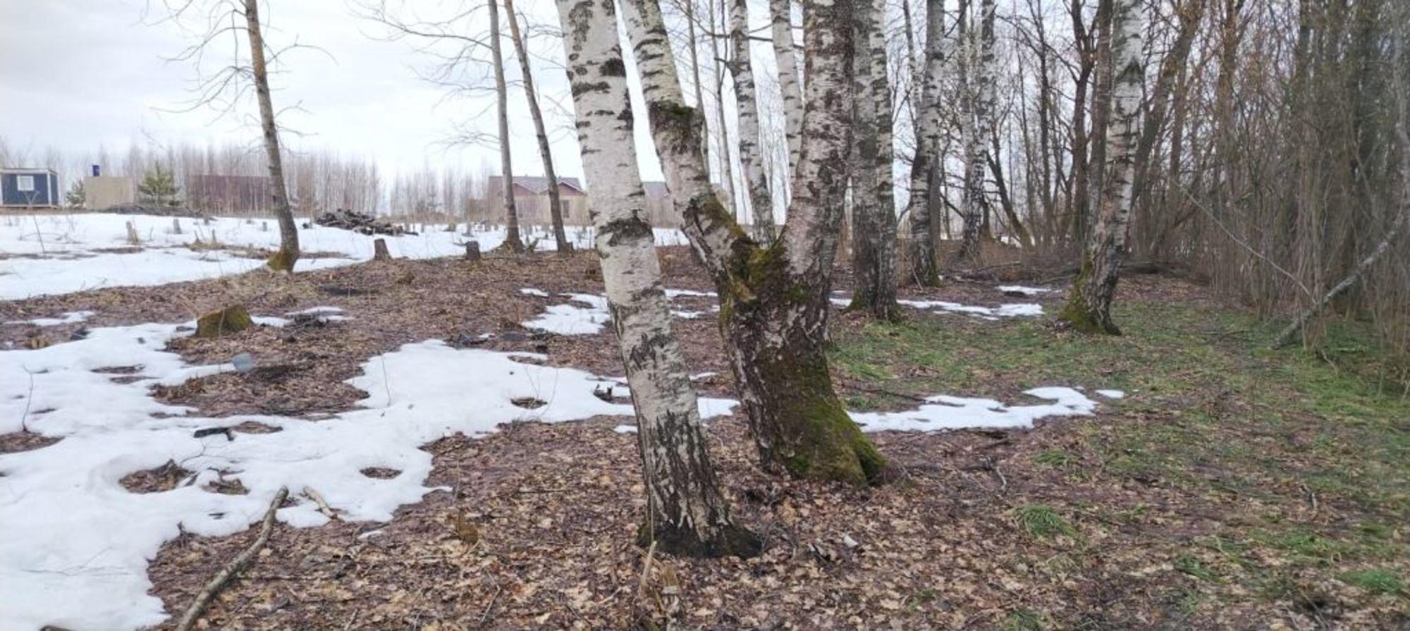 Купить землю, земельный участок за 1 100 000 рублей на Немцовская ул