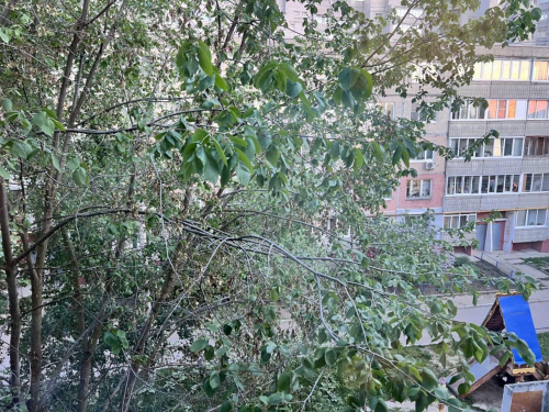 Продажа 1-комн квартиры Ново-Ямская ул, 29