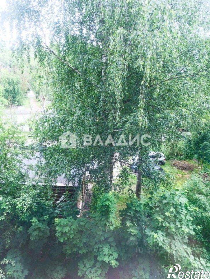 1-комн квартира Суздальский пр-кт, 29,  д. 29
