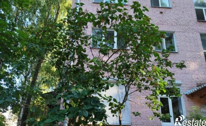 1-комн квартира ул Мира, 51,  д. 51