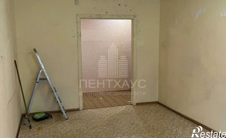 3-комн квартира Суздальский пр-кт, 29,  д. 29