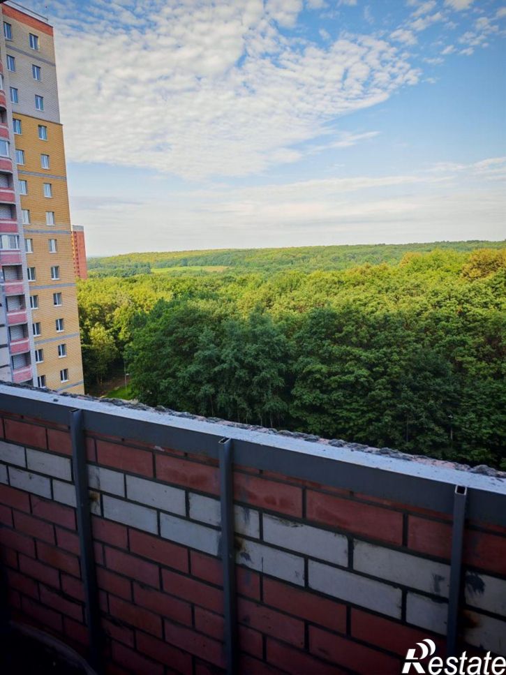 1-комн квартира Верхняя Дуброва ул, 32В