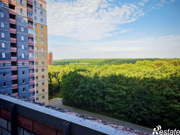 1-комн квартира Верхняя Дуброва ул, 32В