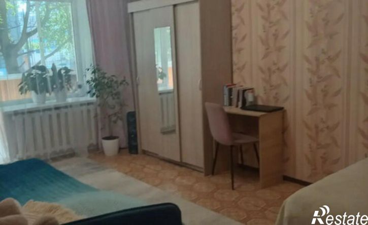 1-комн квартира ул Егорова, 10,  д. 10