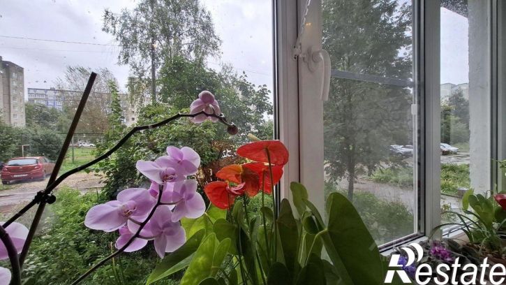 1-комн квартира улица Безыменского, 14,  д. 14