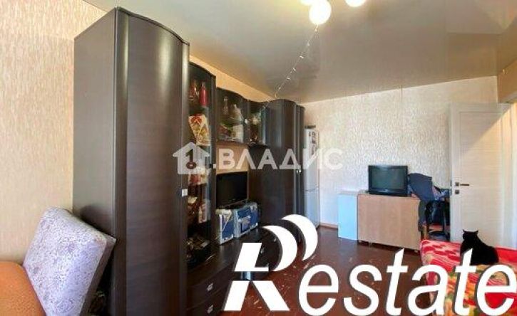 1-комн квартира улица Соколова-Соколёнка, 24,  д. 24