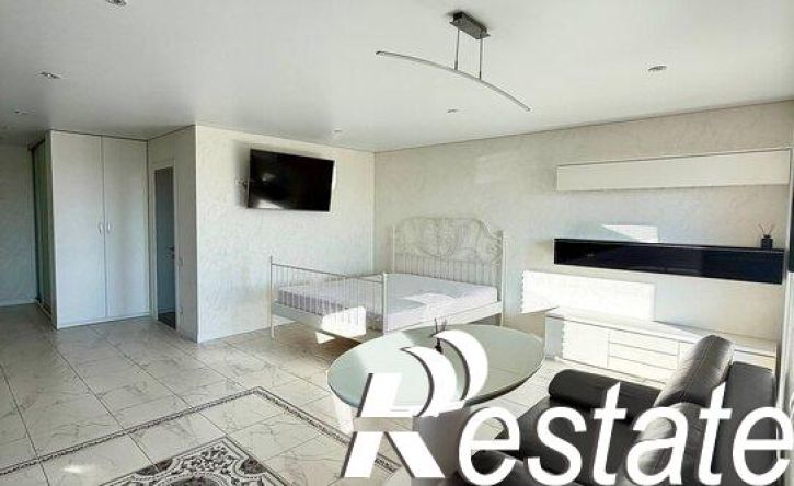 1-комн квартира Центральная улица, 19Ж,  д. 19Ж